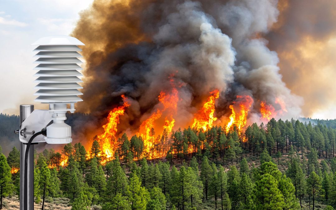 How Temperature and Humidity Data Help Improve Wildfire Forecast Accuracy