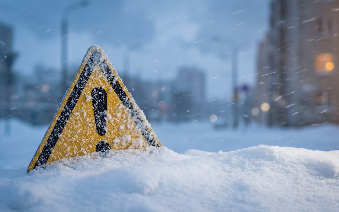 When the Arctic Slips South: How the Arctic Oscillation Fueled Widespread Winter Storms