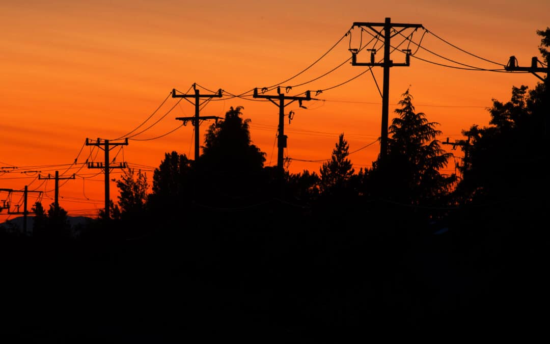 Wind, Wildfire, and the Weather Network Behind Liberty’s Vegetation Management Program